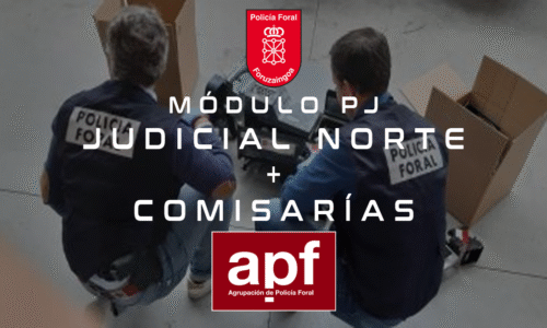 CURSO ACCESO JUDICIAL NORTE Y COMISARÍAS 2026